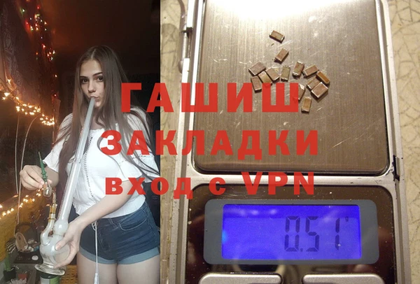 индика Володарск